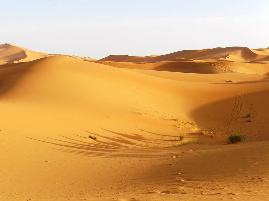 morocco, desert, dunes, sand dune, land, landscape, scenics - nature HD wallpaper