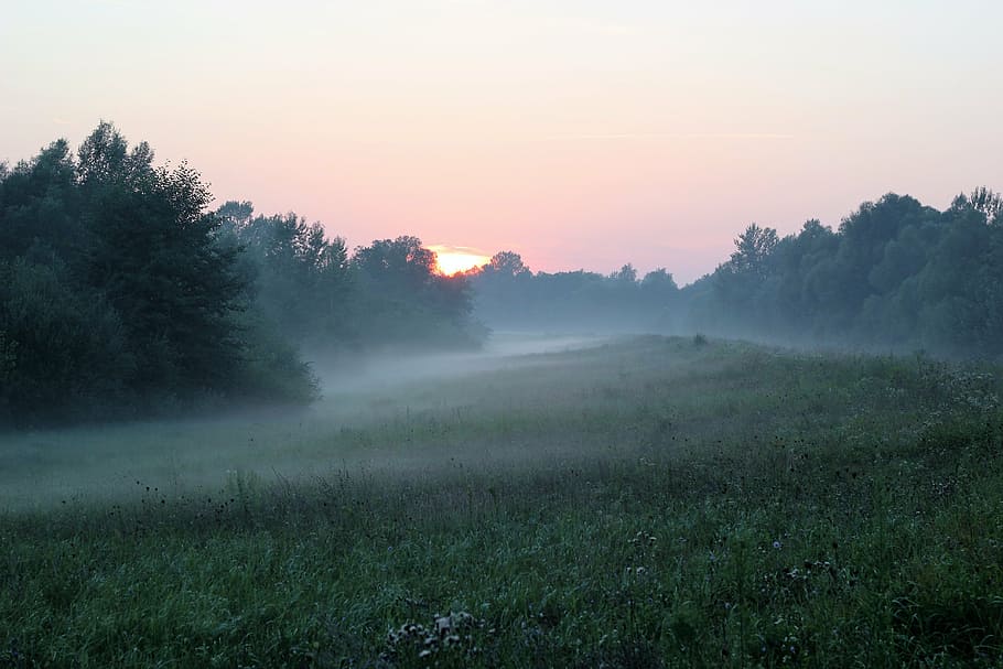 nature, foggy, sunrise, landscape, meadow, mysterious, autumn, HD wallpaper