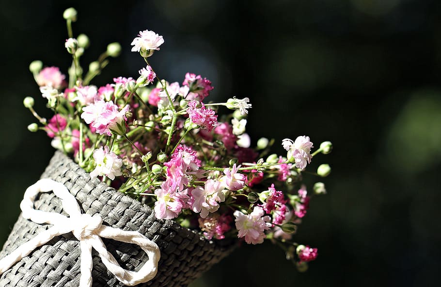 pink and white flowers on bouquet during daytime, bag gypsofilia seeds, HD wallpaper
