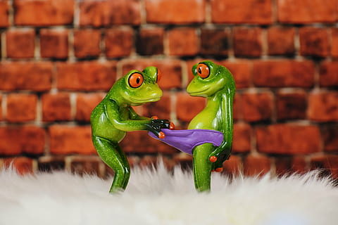 selective focus photography of green frog figurines, figures HD wallpaper
