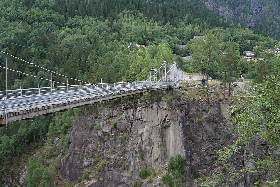 bridge, cliff, steep, connection, tree, transportation, bridge - man made structure HD wallpaper