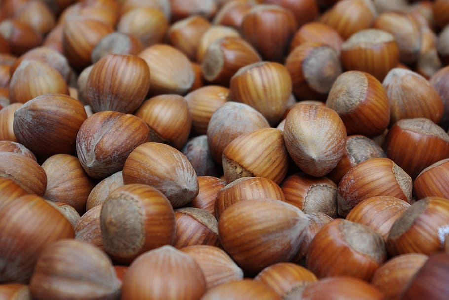 chestnut lot, hazelnuts, tree fruit, food, shell, market, nutritious HD wallpaper