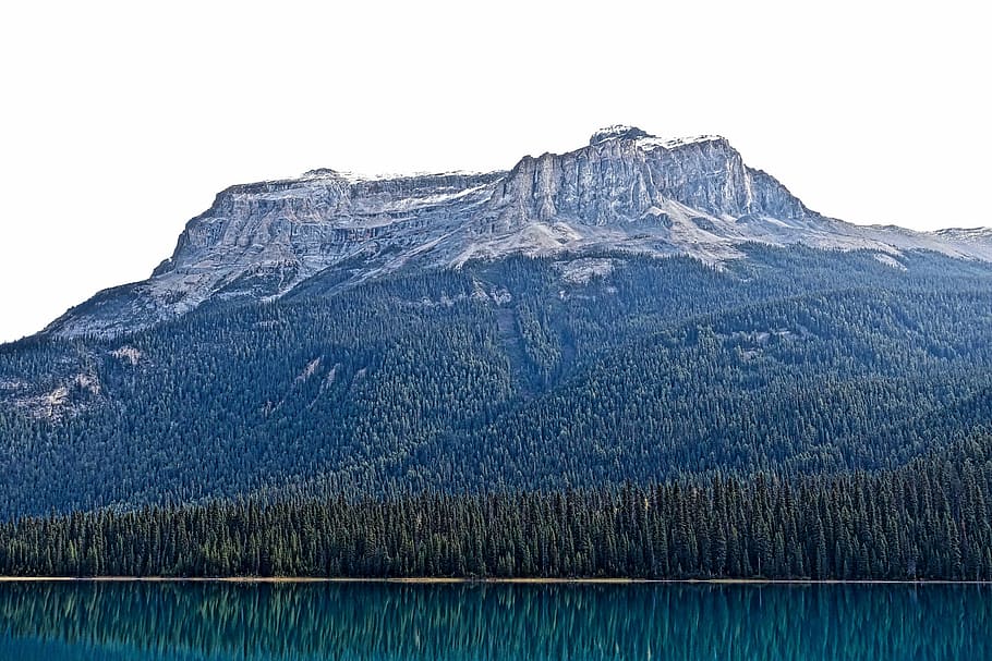 mountain, forest, nature, evergreen, environment, natural, landscape HD wallpaper