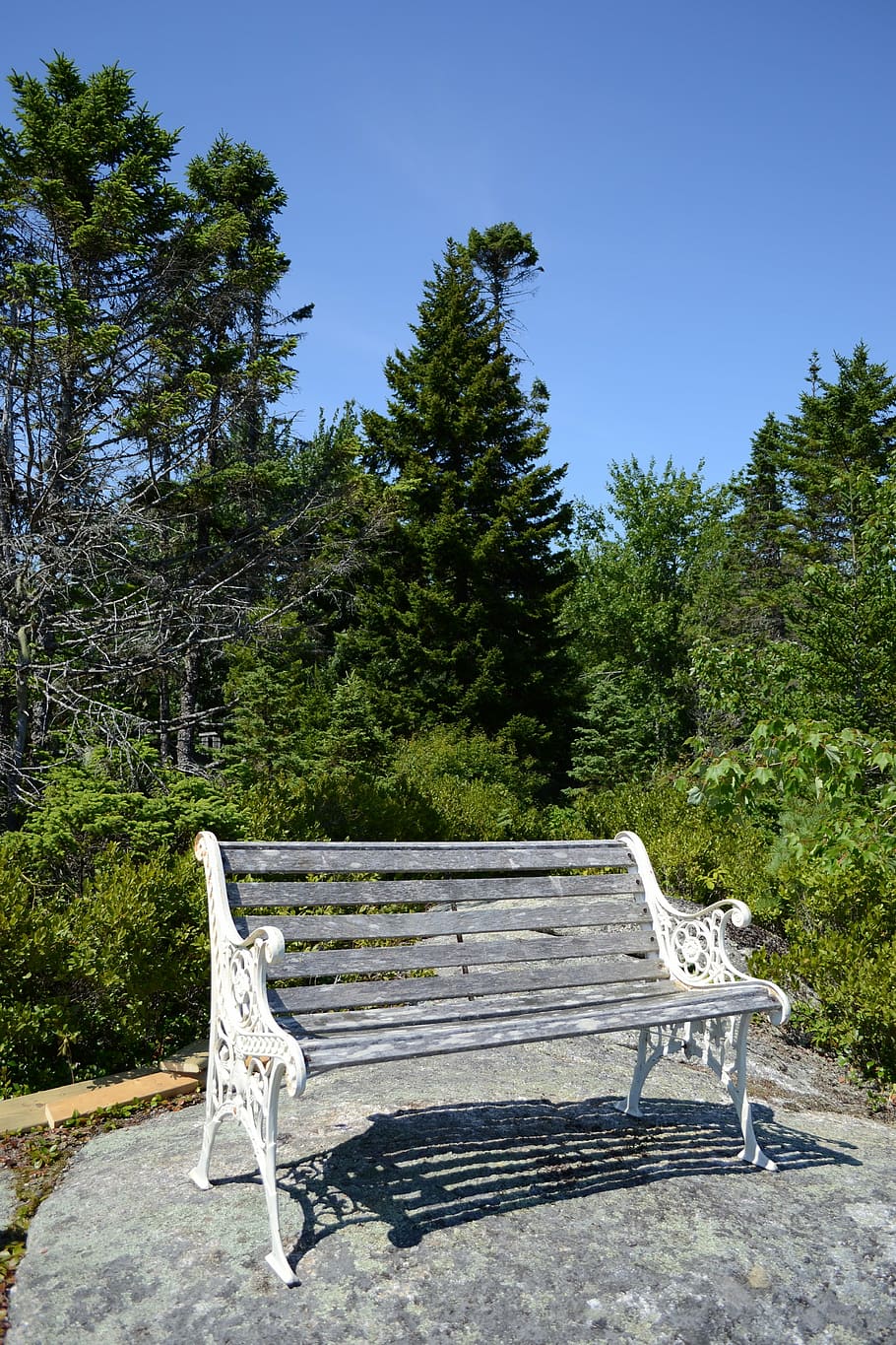 bench, rocks, forest, sky, blue, summer, wooden, outdoor, day HD wallpaper