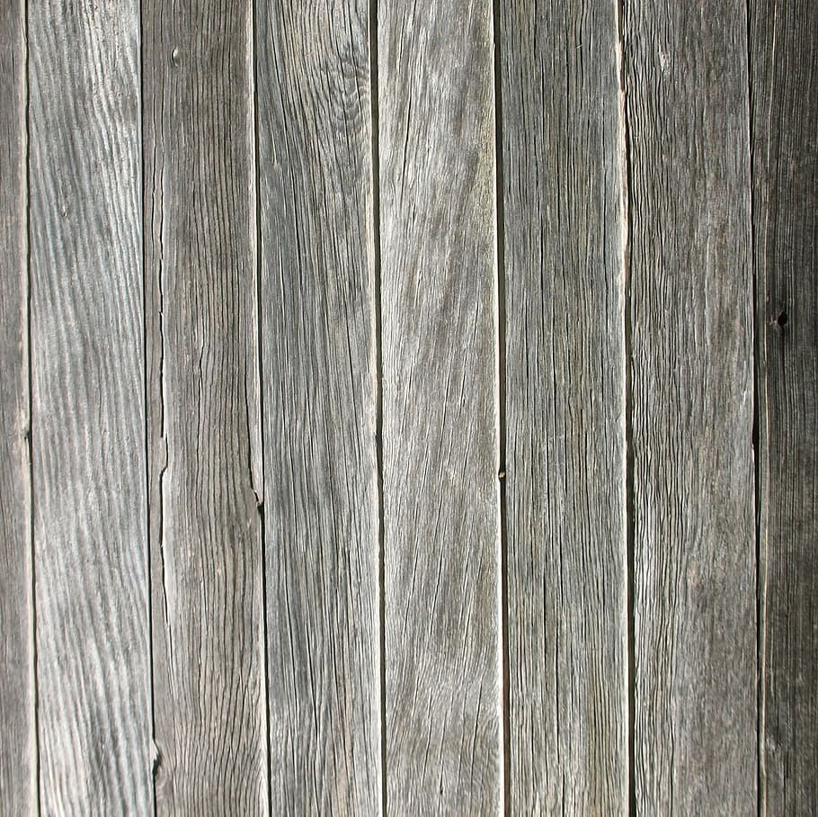 Wood, Jars, Clear, Trunk, Tree, jars trunk, texture, the background HD wallpaper