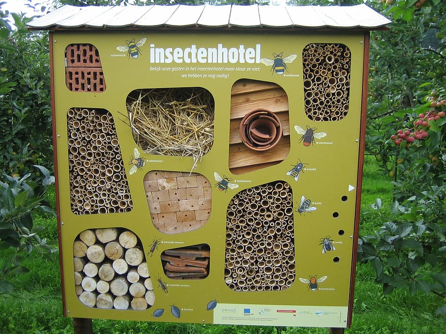 insects hotel, bees, nature, text, day, no people, plant, green color HD wallpaper