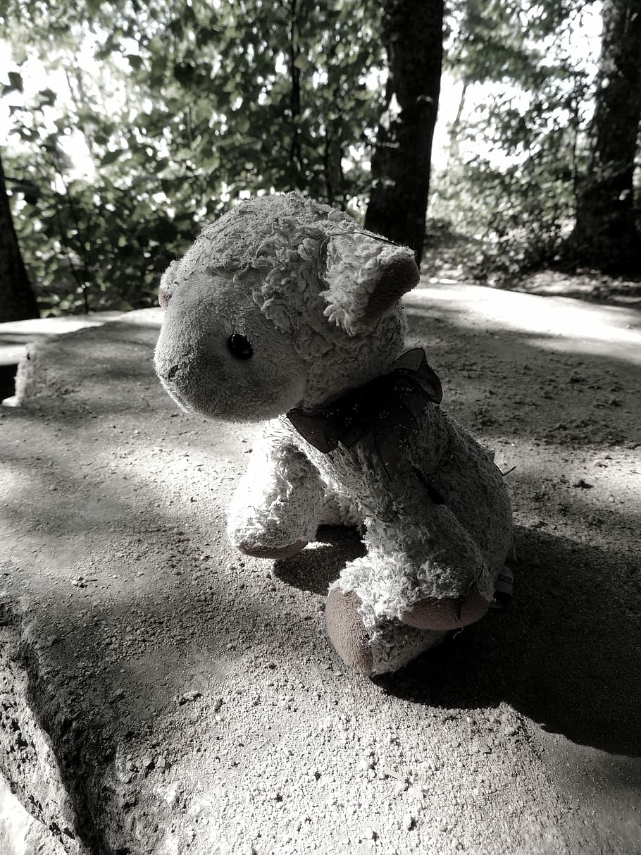 Teddy Bear, Sad, Stuffed Animal, Child, lonely, grey, playground