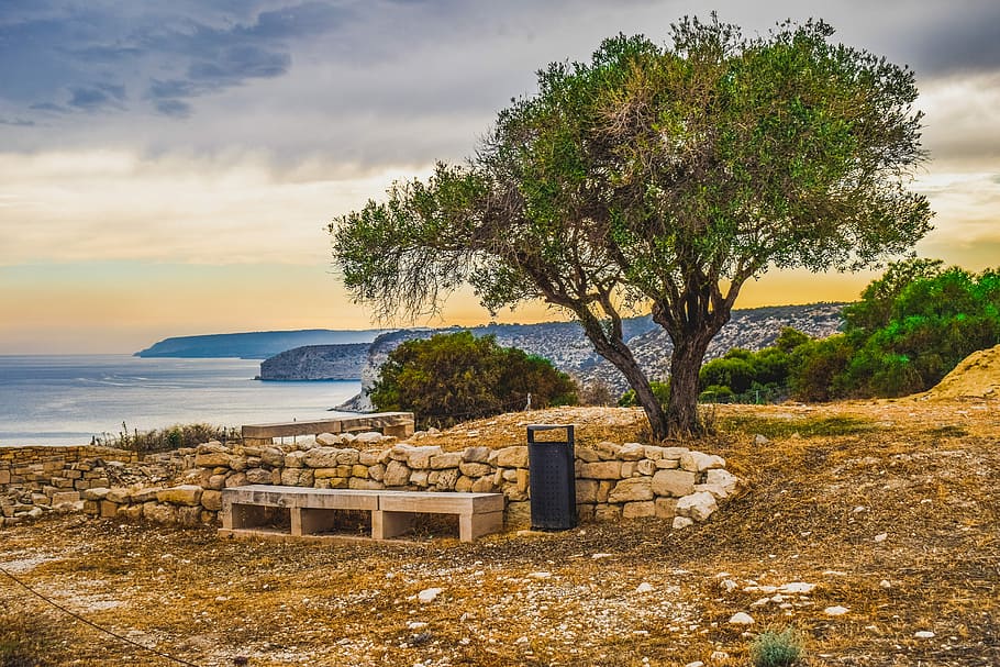 bench beside trash bin against rock near tree and body of water at distance HD wallpaper