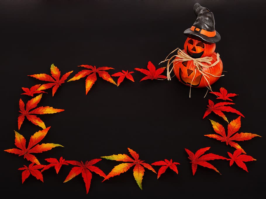 red maple leaves box artwork, Pumpkin, Background, Dark, Frame HD wallpaper