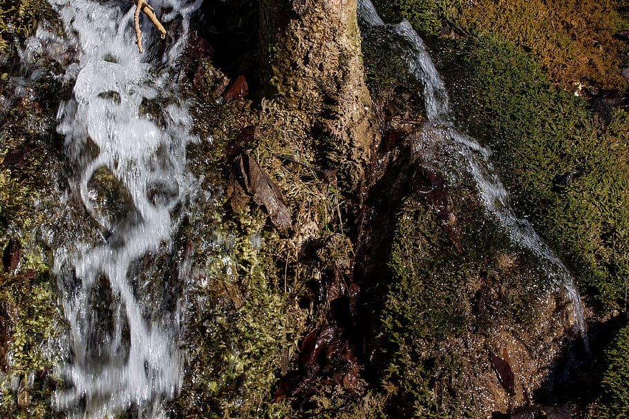 source, bach, water, bubble, idyll, moss, green, nature, spring HD wallpaper