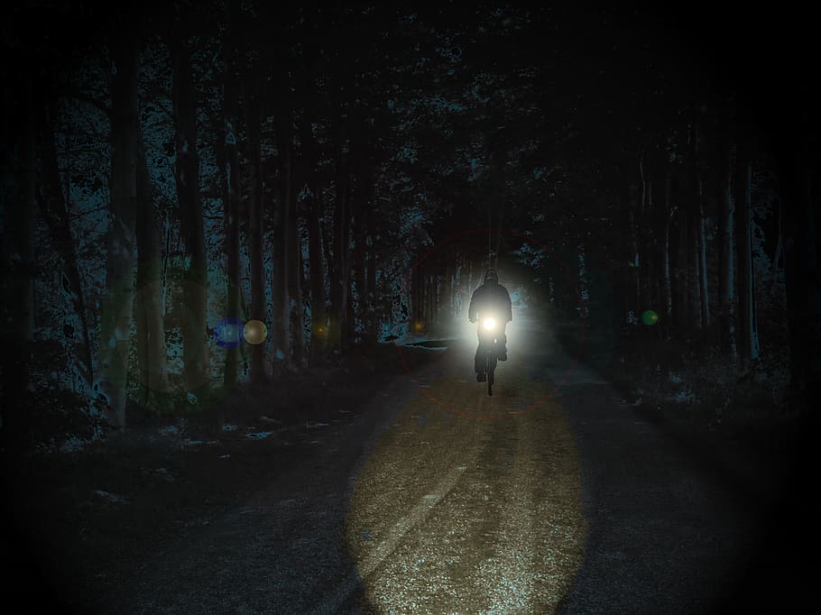person riding bicycle on road between forest, cyclists, night HD wallpaper