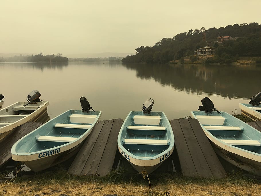 motorboat parking beside water, aligned punt boats on dock, tree HD wallpaper