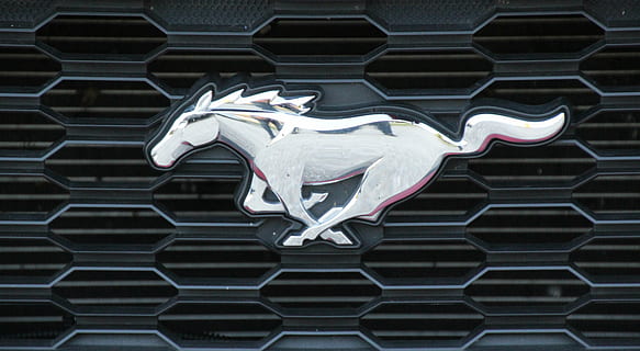 124 Ford Mustang Logo Stock Photos, High-Res Pictures, and Images - Getty  Images