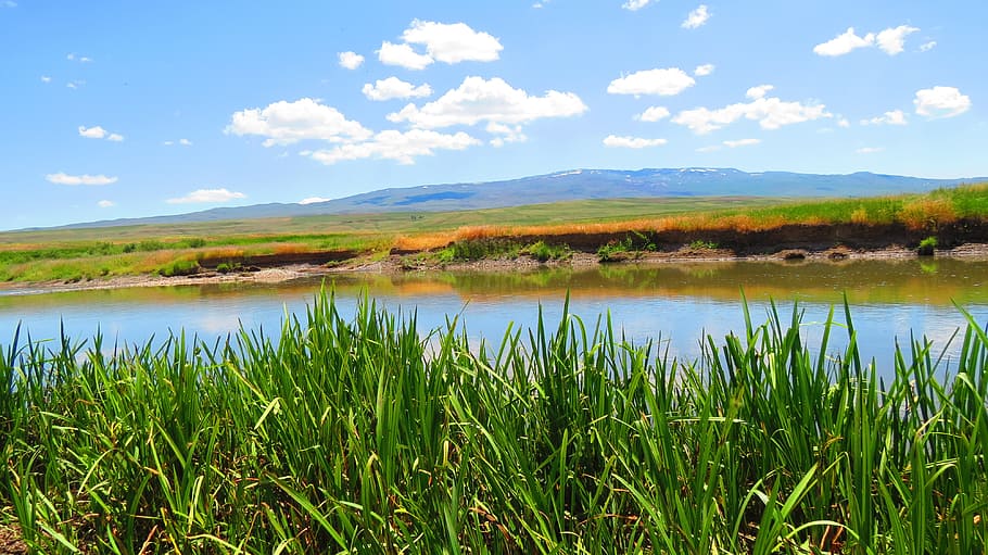 reedy, spring, river, tea, erzurum, nature, landscape, water HD wallpaper