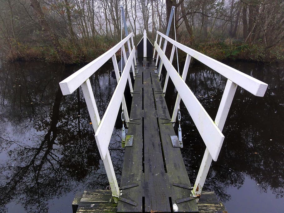 Netherlands, Bridge, Nature, Stream, outside, forest, trees HD wallpaper
