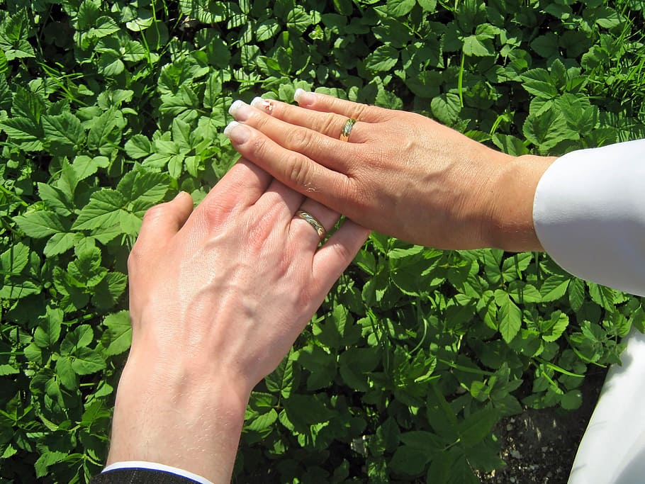 wedding, wedding rings, human hand, human body part, leaf, plant part HD wallpaper