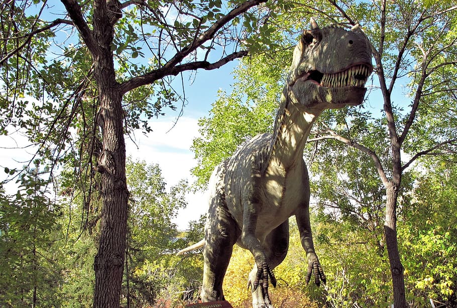 dinosaur, dinosaur park, calgary zoo, alberta, canada, tree