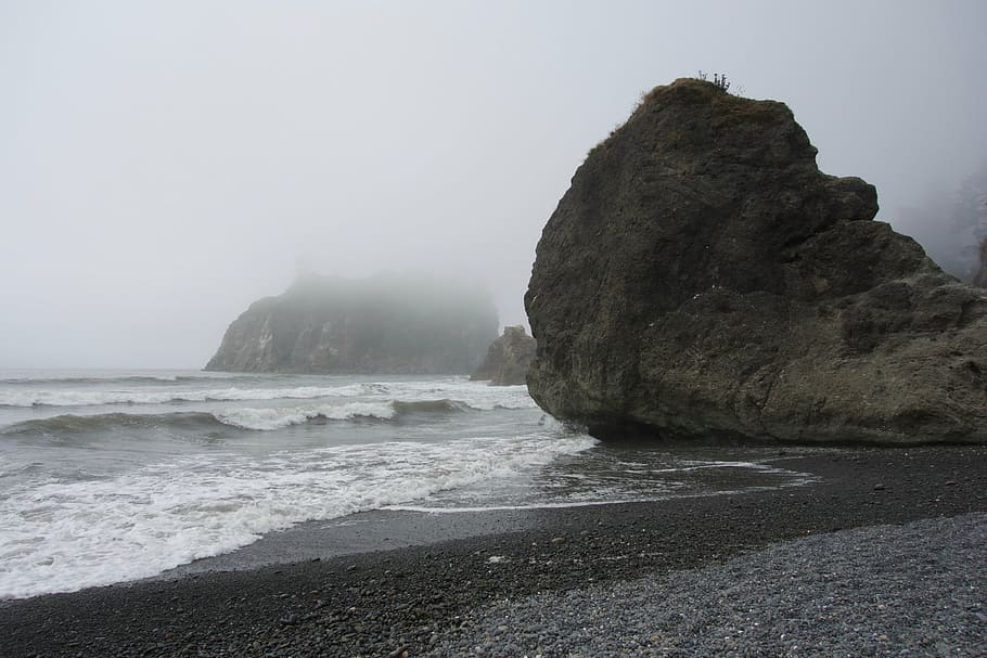 sea stack, ruby beach, washington, coastline, nature, rock - Object HD wallpaper