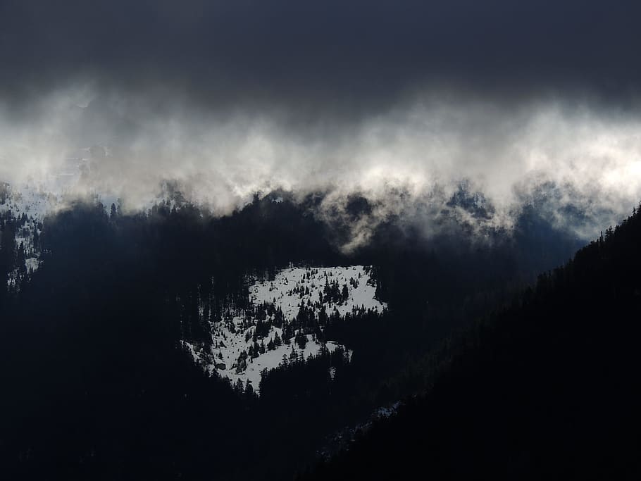 green pine trees under gray and white clouds, untitled, photo HD wallpaper
