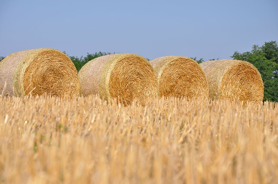 summer, straw, yellow, agriculture, bale, rural scene, hay HD wallpaper