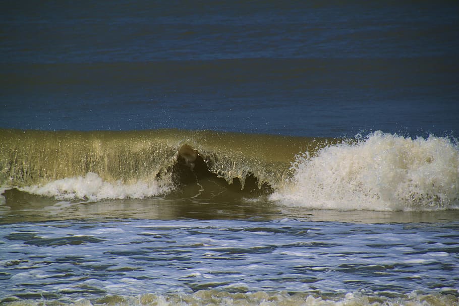 Wave, Sea, Water, Beach, Spray, north sea, surf, sea water HD wallpaper