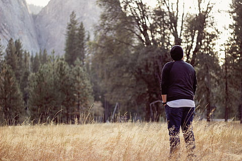man on grass field near tree, nature, plants, trees, woods HD wallpaper