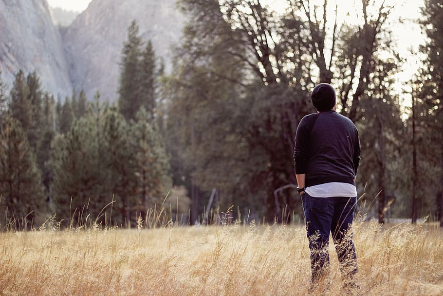 man on grass field near tree, nature, plants, trees, woods HD wallpaper