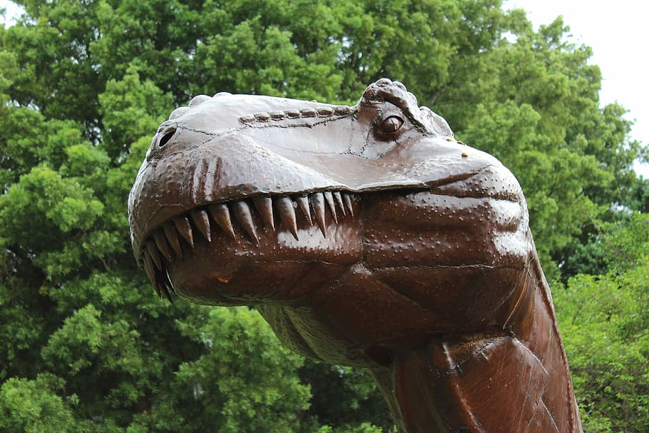 Sculpture, Dinosaur, Teeth, one animal, animal body part, animals in the wild HD wallpaper