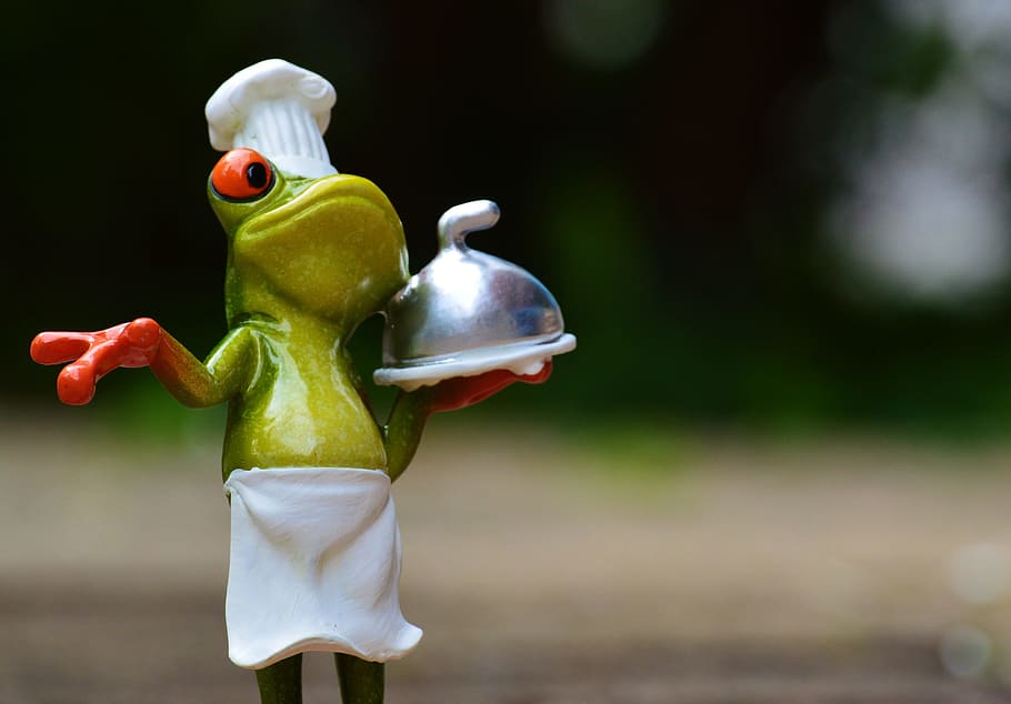 Frog, Cooking, Eat, Kitchen, Gourmet, food, preparation, funny HD wallpaper