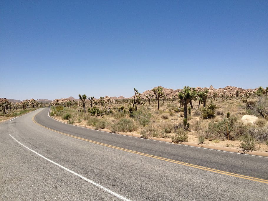 Road, Desert, Landscape, transportation, dirt road, highway HD wallpaper