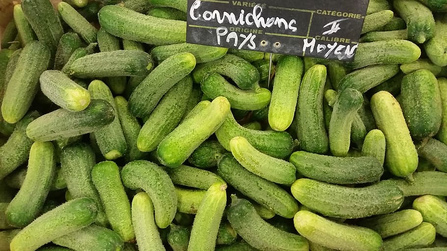 green cucumber lot, vegetable, pickles, bio, salad, freshness HD wallpaper
