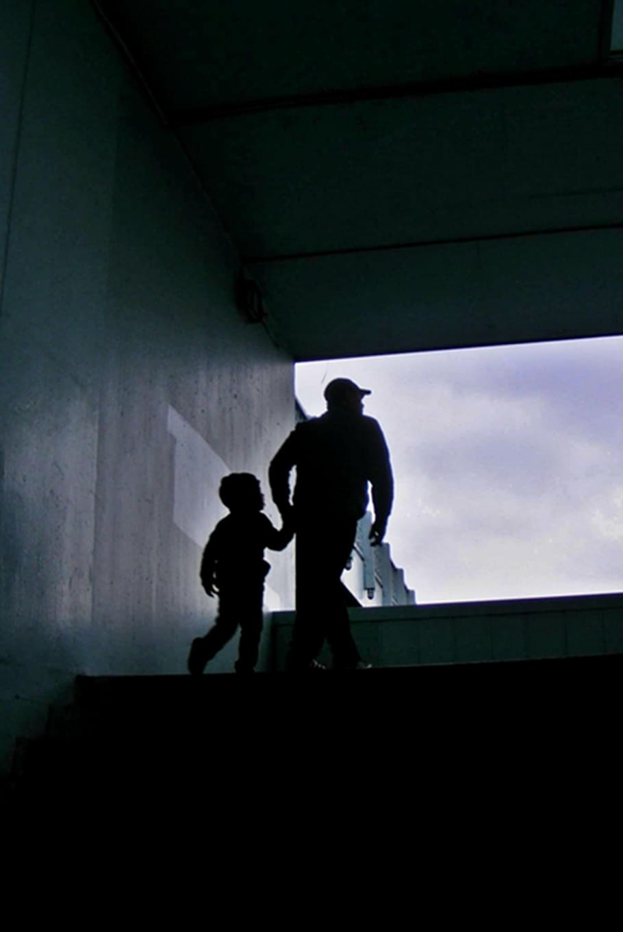 dad, child, commitment, fog, cold, walking, run, people, silhouette HD wallpaper