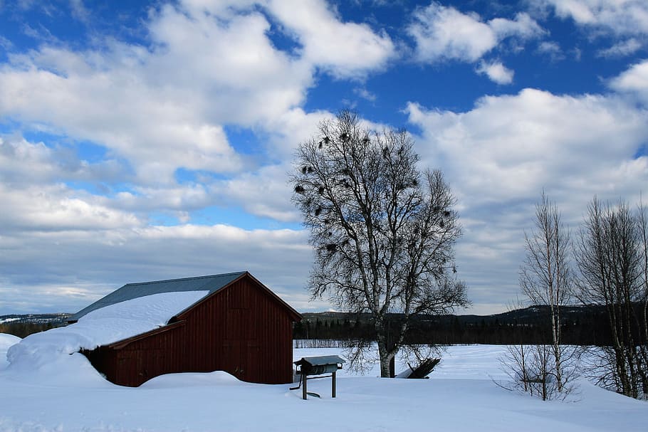 winter, cloud, barn, himmel, landscapes, snow, white, building HD wallpaper