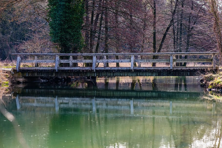 waters, nature, river, tree, reflection, bridge, spring, sunny HD wallpaper