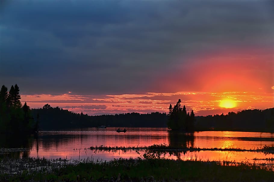 silhouette photo of trees at sunset, Evening, Twilight, Colors HD wallpaper