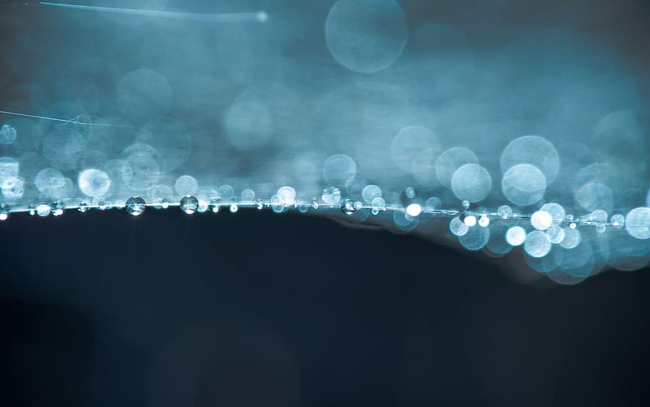 macro photography of water drops, bokeh photography of blue lights HD wallpaper