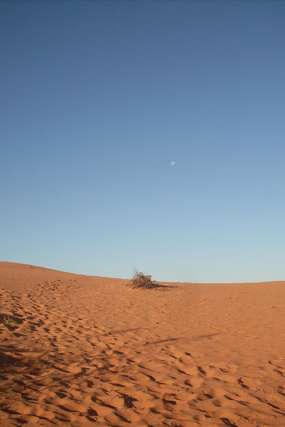 red dunes, evening, australia, desert, sand Dune, dry, nature, HD wallpaper