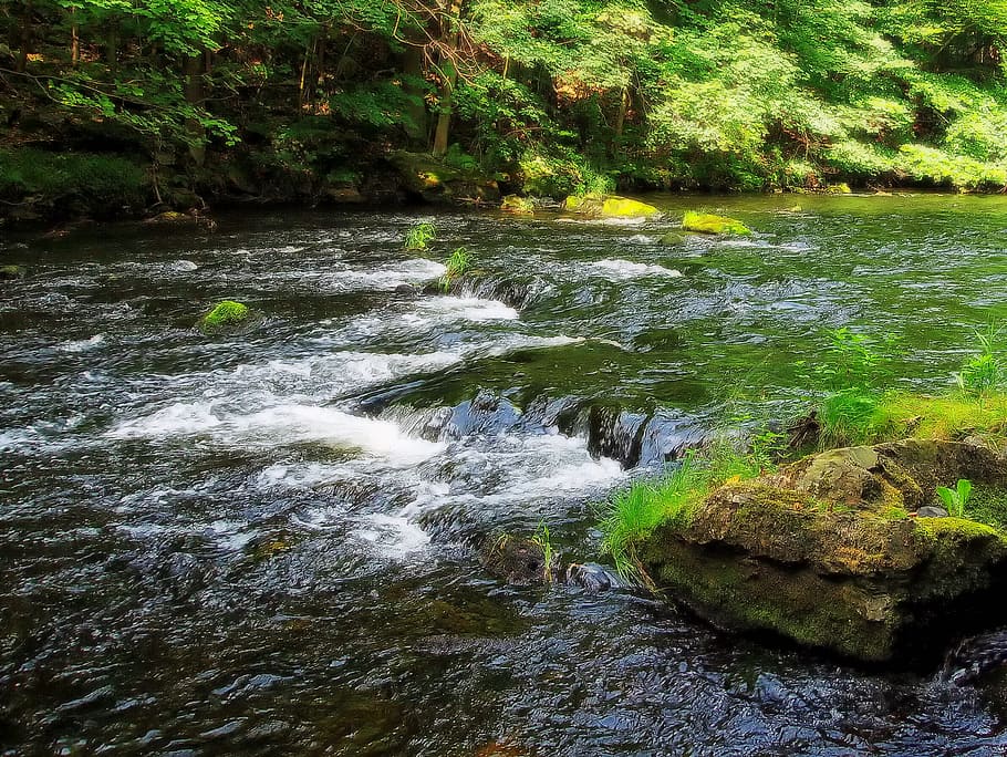 germany, stream, river, water, rapines, nature, outside, countryside HD wallpaper