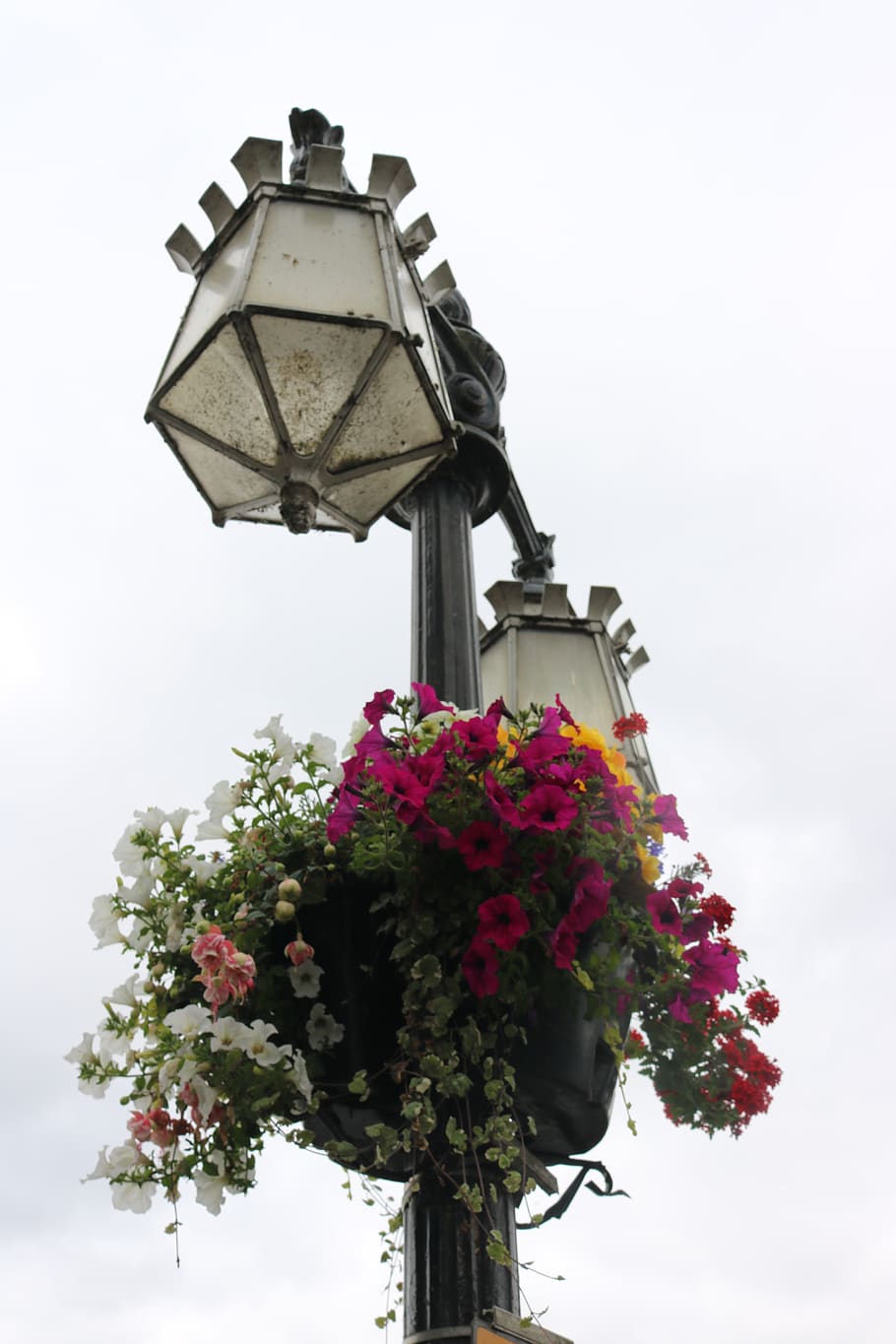 flower, lighting column, colors, flowering plant, low angle view HD wallpaper