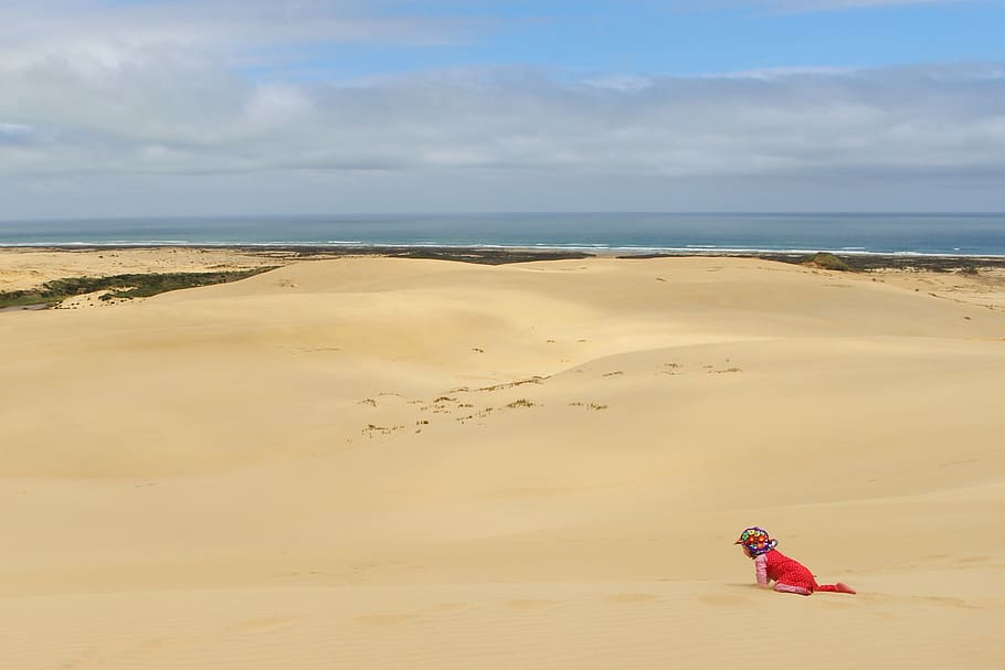 girl wearing red and pink dress, sand dune, baby, crawl, child