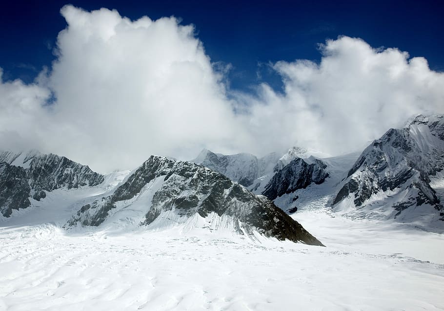 Denali National Park 1080P, 2K, 4K, 5K HD wallpapers free download ...