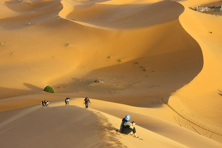 group of people standing on desert, group of people walking on sand HD wallpaper