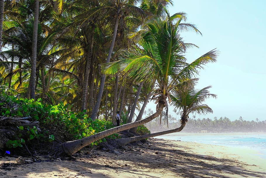 thick cloud, ile, beach, calm, guard, sandy beach, beautiful beach HD wallpaper