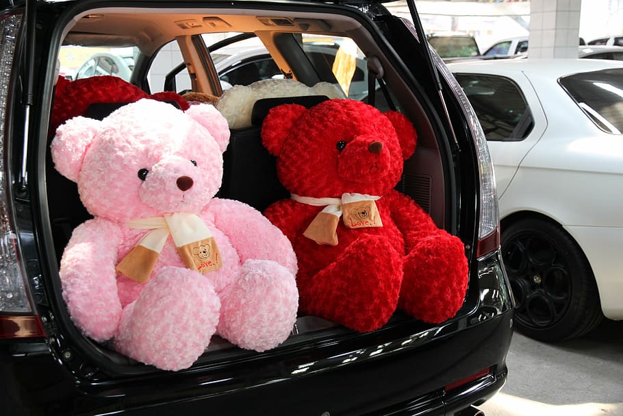 car, teddy, space wagon, motor vehicle, mode of transportation HD wallpaper