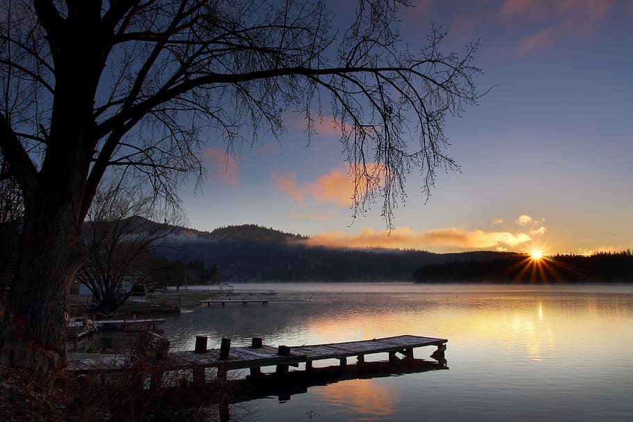 dock near tree during golden hour, dock on lake, jetty, pier HD wallpaper