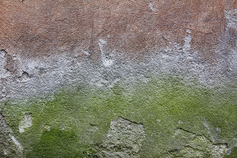 untitled, concrete, wall, texture, green, wall - building feature HD wallpaper