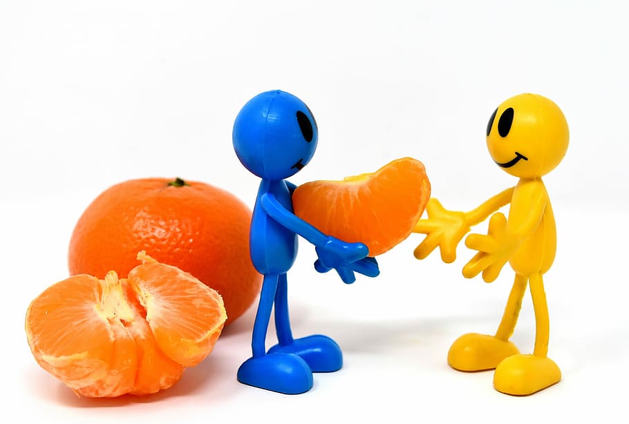 peeled orange fruit, friends, mandarin, healthy, vitamins, parts, HD wallpaper