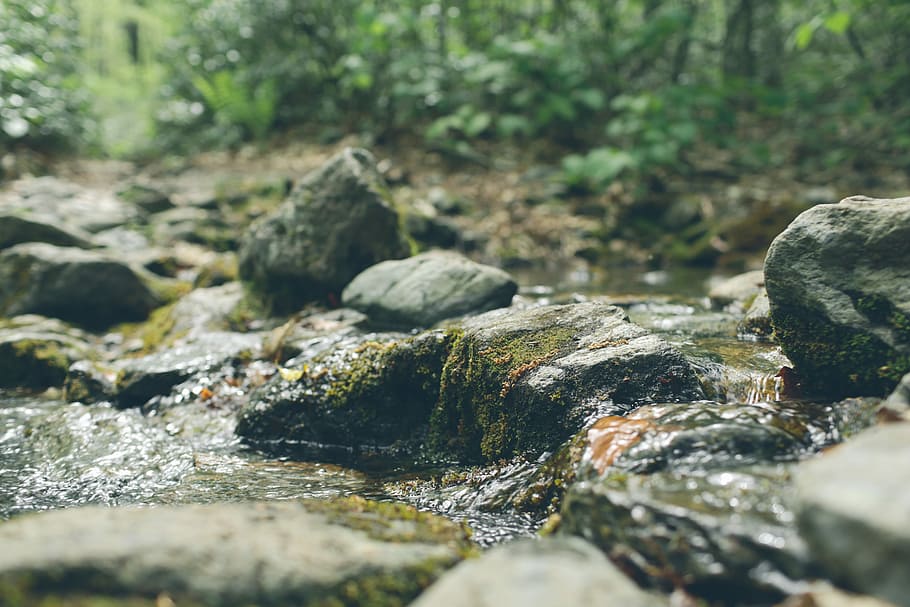 time lapse photography of cascading waterfalls, forest, green HD wallpaper