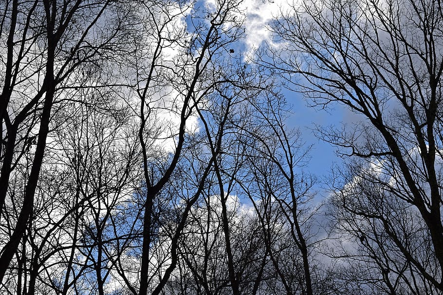 fluffy clouds, blue sky, landscape, nature, cloudscape, storm HD wallpaper