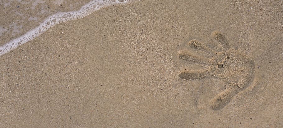 Beach, Trace, Summer, no people, indoors, close-up, wood - material HD wallpaper